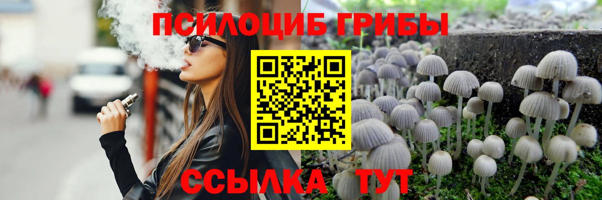 Орехово-Зуево  Псилоцибиновые грибы Psilocybe  Вход с VPN  купить наркоту  Галлюциногенные грибы Psilocybe 